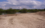 Bild zeigt eine Sandbank in der Lippeaue