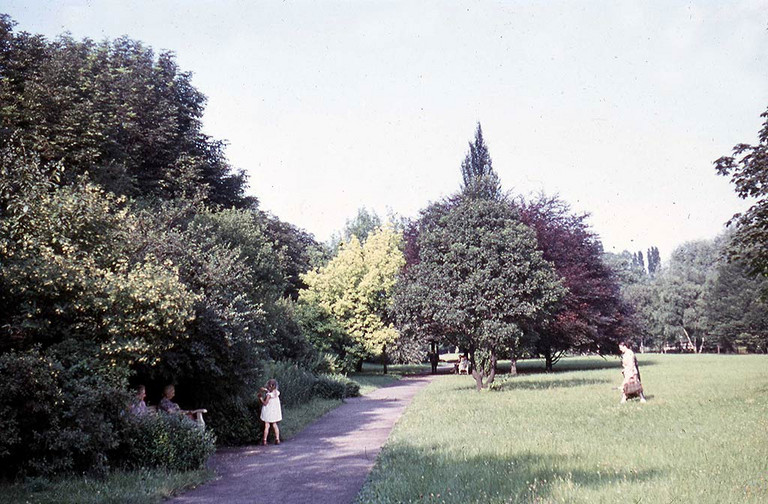 Fußweg im Nordpark in Richtung Osten, um 1960
