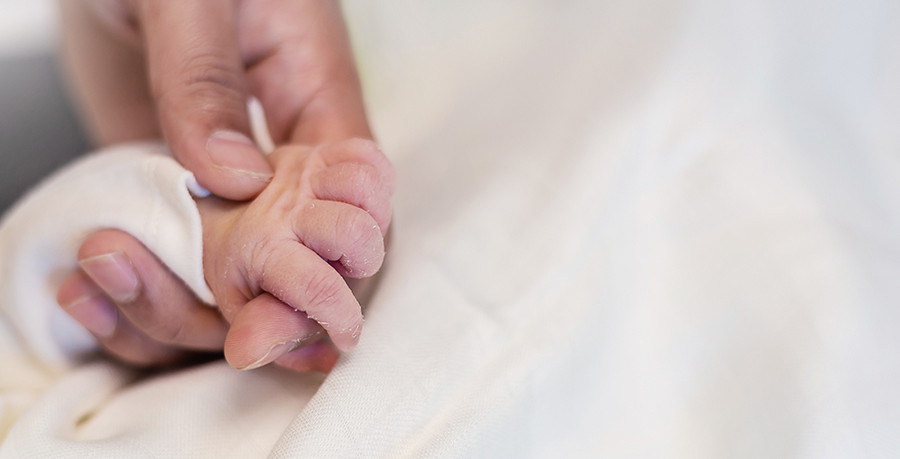 Gut zu wisssen Ein Erwachsener hält eine kleine Baby-Hand