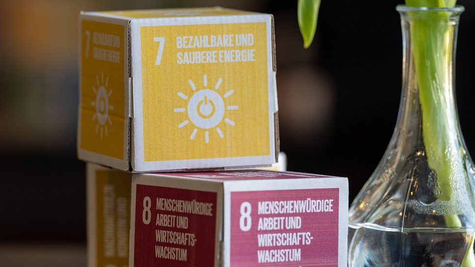 Das Bild zeigt zwei Pappwürfel, darauf sind zwei sustainable development goals (SDGs) zu sehen.