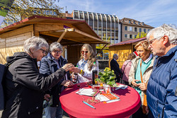 Westfälischer Hansetag