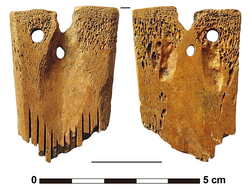Das Bild zeigt einen knöchernen Kamm, der während der archäologischen Grabung gefunden wurde.