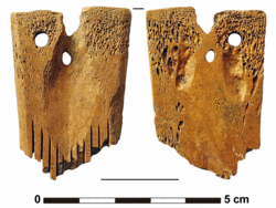 Das Bild zeigt einen knöchernen Kamm, der während der archäologischen Grabung gefunden wurde.
