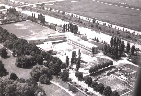 Luftaufnahme des Neubaus des Gymnasiums Hammonense an der Berliner Allee (heute Adenauerallee), 1956 