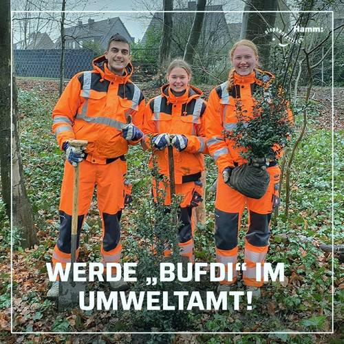 Das Plakat zeigt eine Pflanzaktion von Bundesfreiwilligen im städtischem Wald