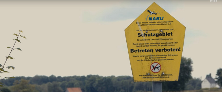 Dokumentarfilm Green citiy View