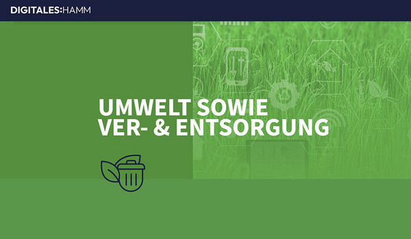 Screenshot des Bereichs ''Umwelt sowie Ver- und Entsorgung" aus der Internetseite ''https://digitaleshamm.de'' 