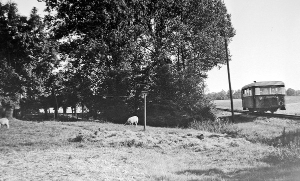 RLE-Triebwagen VT22 zwischen Rhynern und Hamm, 1938