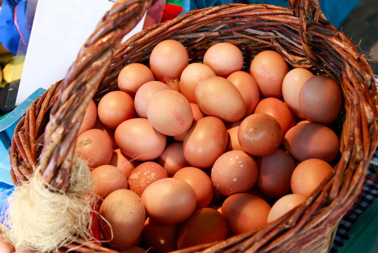 Eier