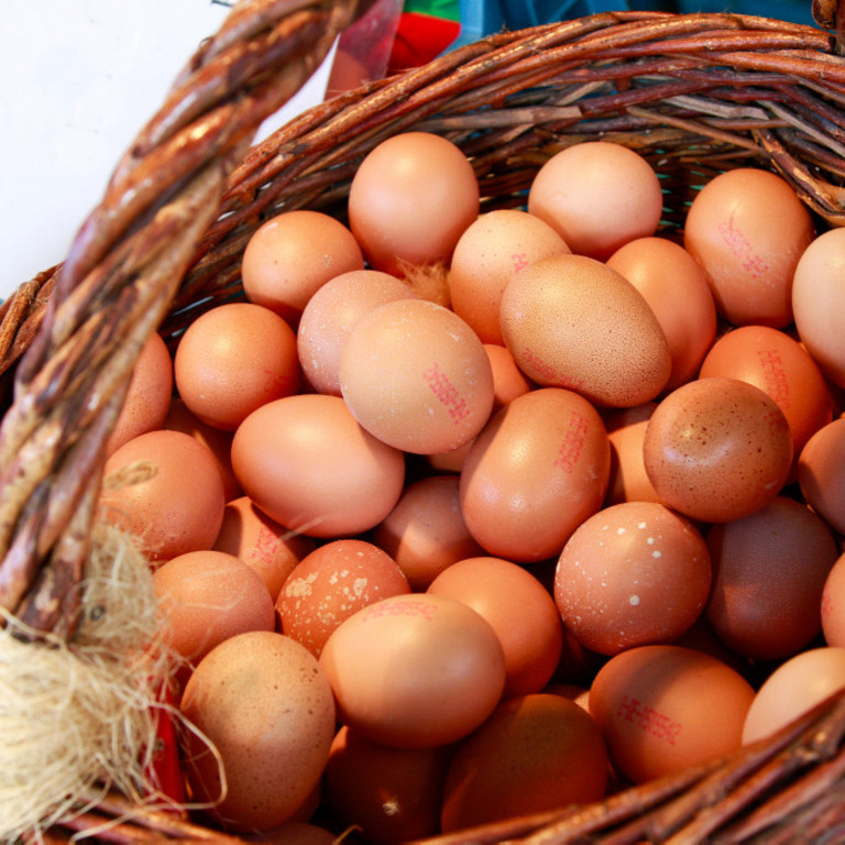 Eier