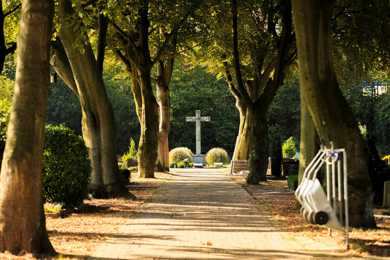 Baumallee Friedhof