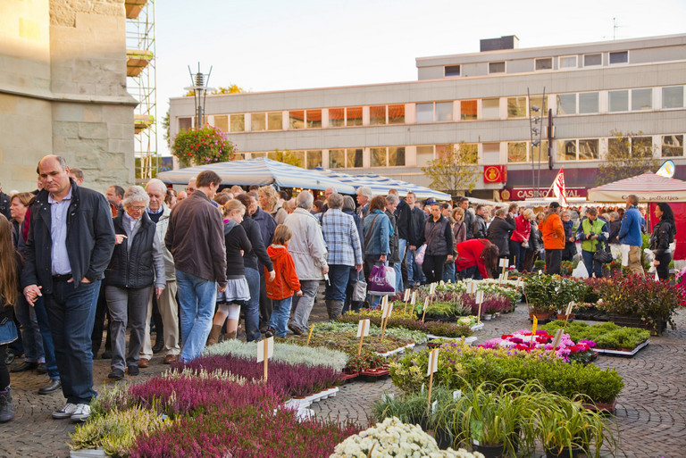 Hollandmarkt bei Hamms Bunter Herbst