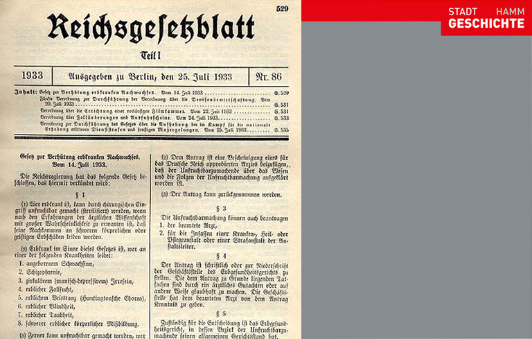 Reichsgesetzblatt vom 25. Juli 1933