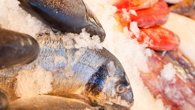 Fisch