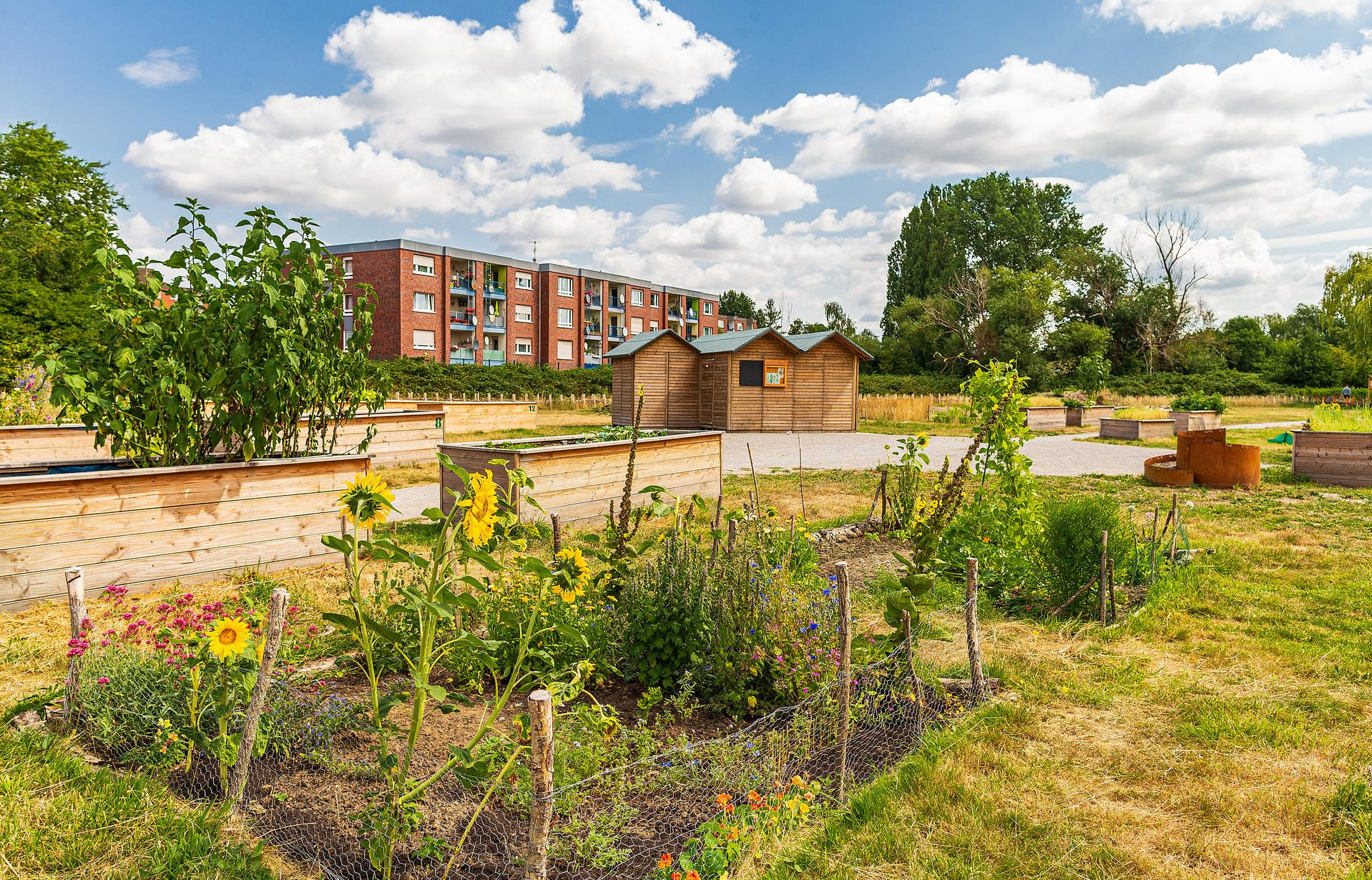 Das Bild zeigt den urbanen Garten in der Kornmersch