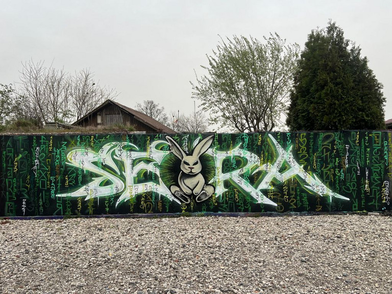 Sera369