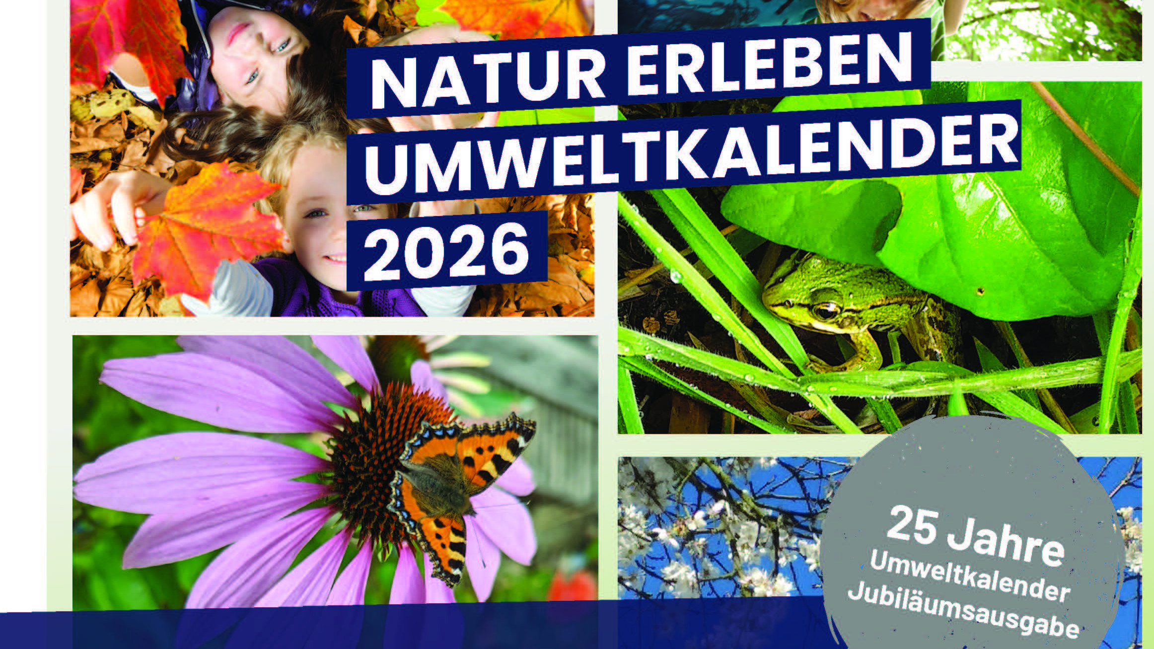 Das Titelbild des aktuellen Umweltkalenders