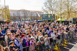 Westfälischer Hansetag