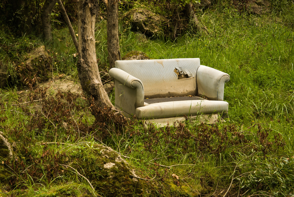Altes Sofa in einem Wald/wilde Müllkippe