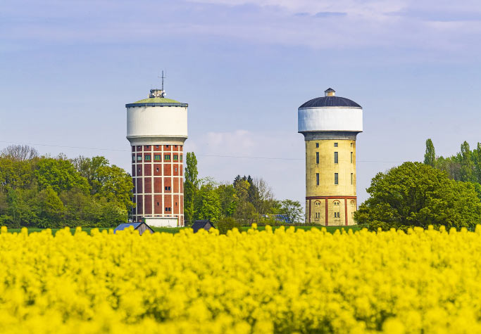 Ein Rapsfeld mit den Wassertürmen im Hintergrund