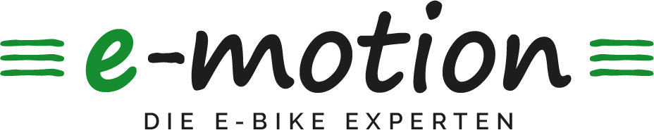 Logo des Unternehmens e-bike Welt