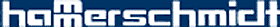 Logo Hammerschmidt 280 Logo: Schuhhaus Hammerschmidt