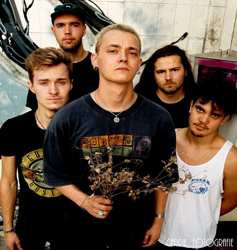 The Black Suede Shoes