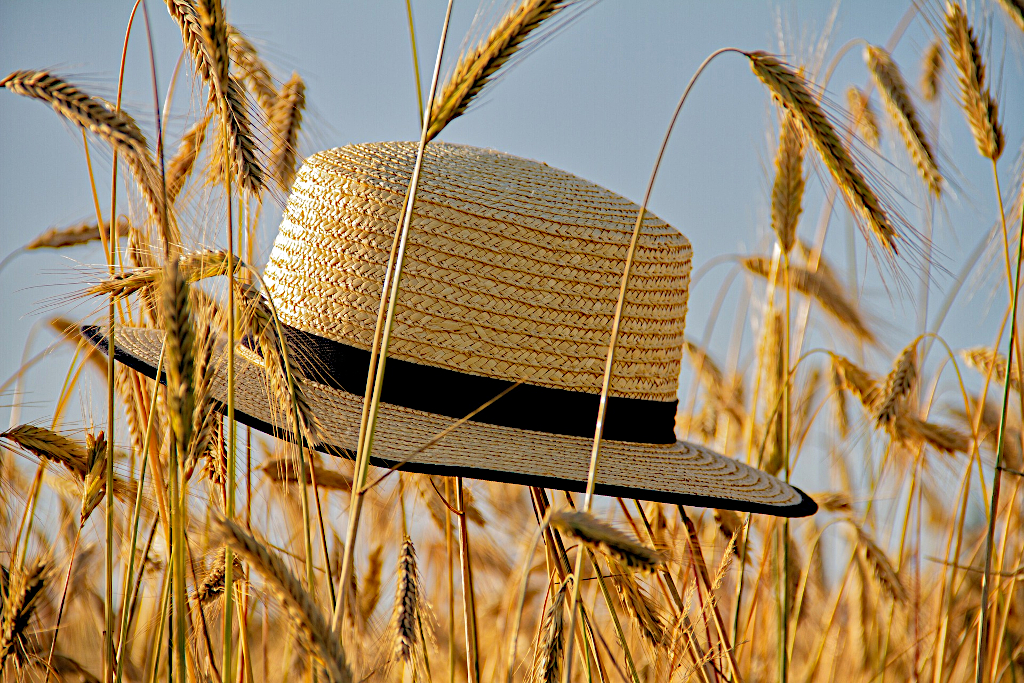 Sommerzeit