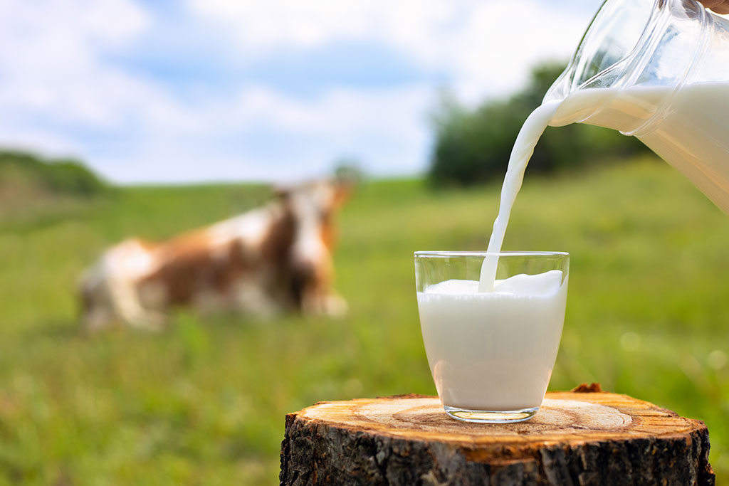Milch wird in ein Glas geschüttet, im Hintergrund eine Wiese mit Kuh