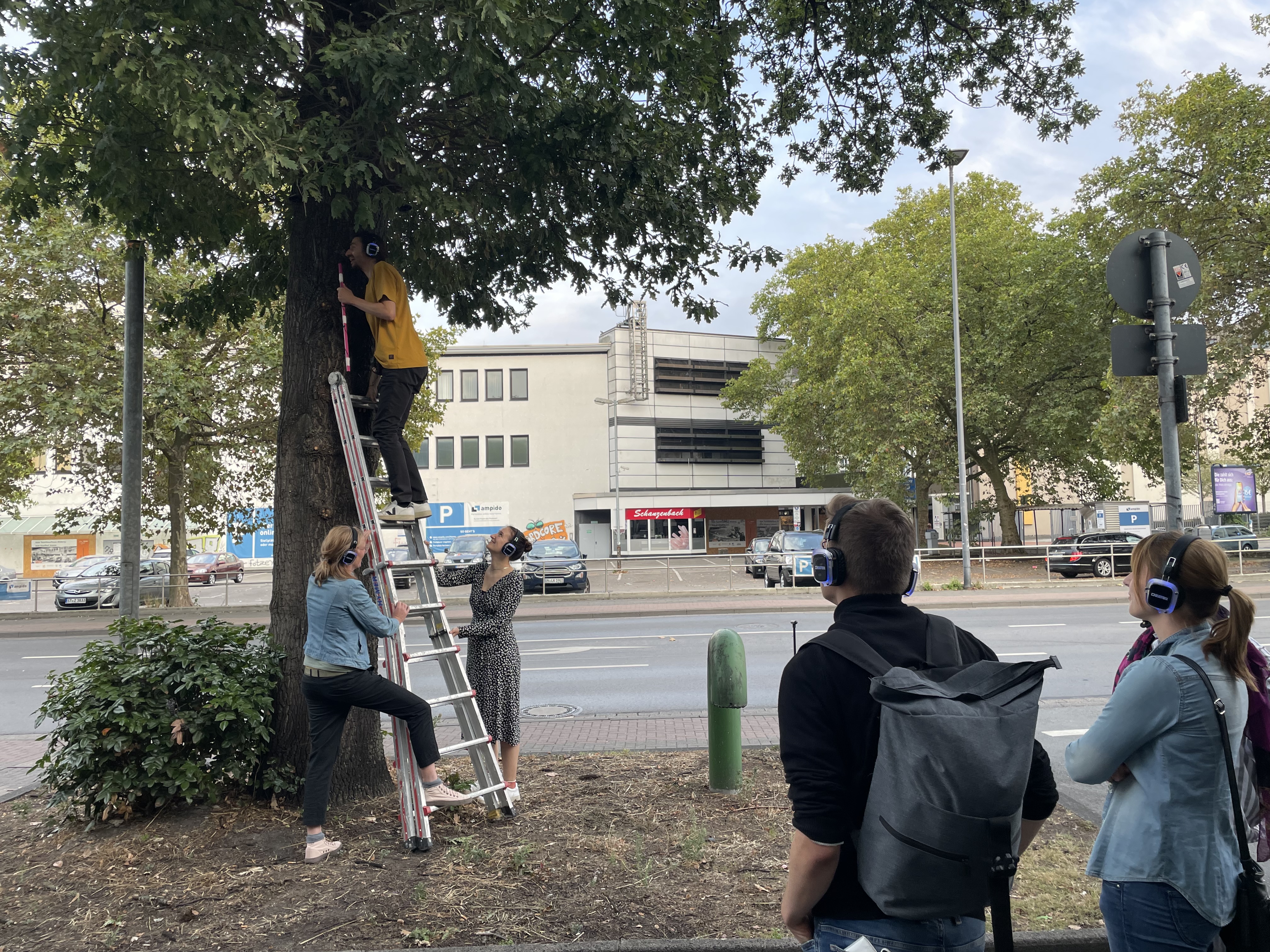 Das Bild zeigt einen Mann auf einer Leiter. Zwei Frauen halten die Leiter fest, die an einem Baum lehnt. Zwei Menschen mit Kopfhörern beobachten.