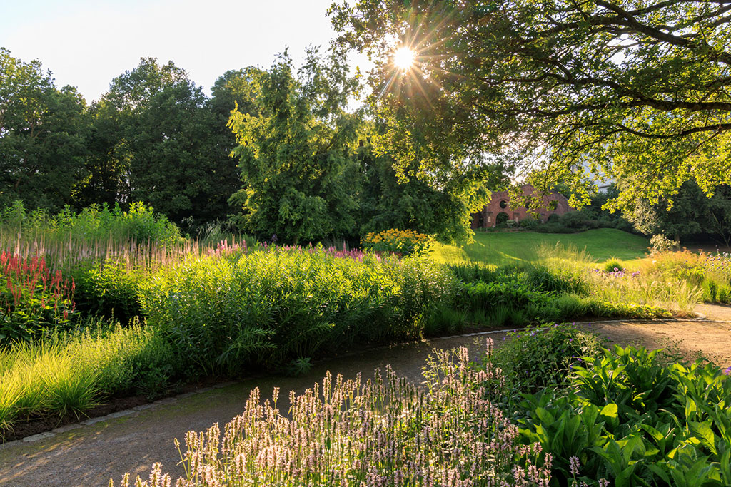 Sommerabend im Maximilianpark