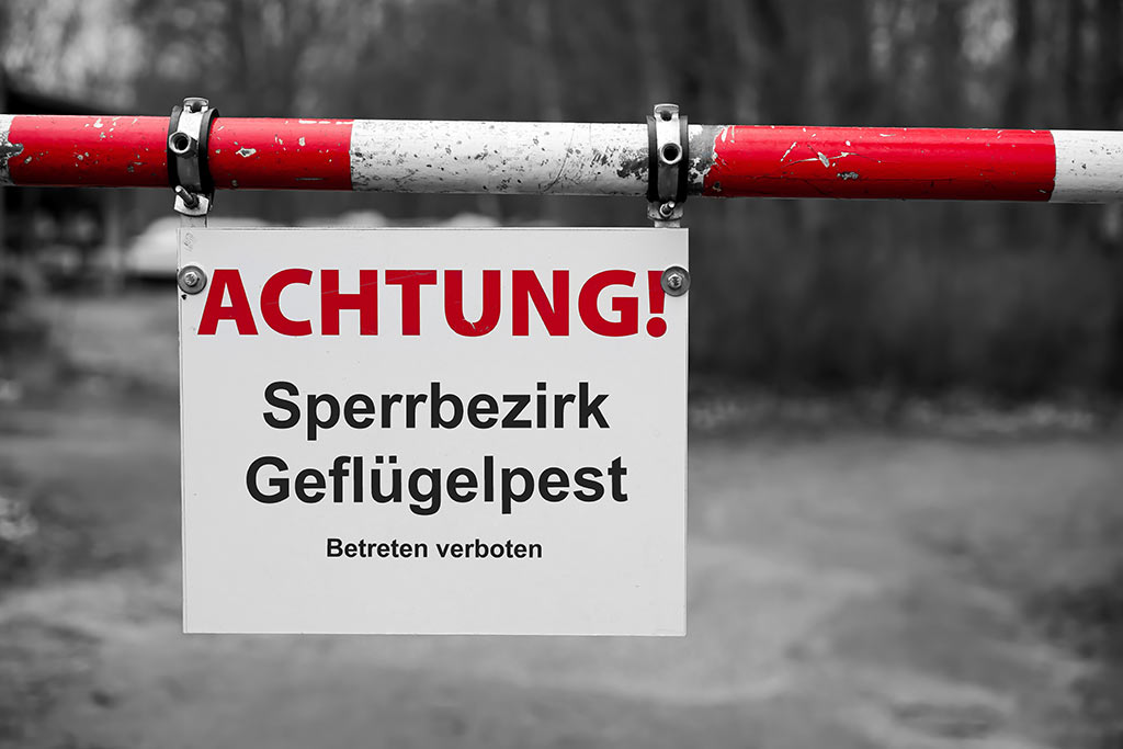 Hinweisschild mit der Beschriftung ''Achtung - Sperrbezirk Gefl&uuml;gelpest''