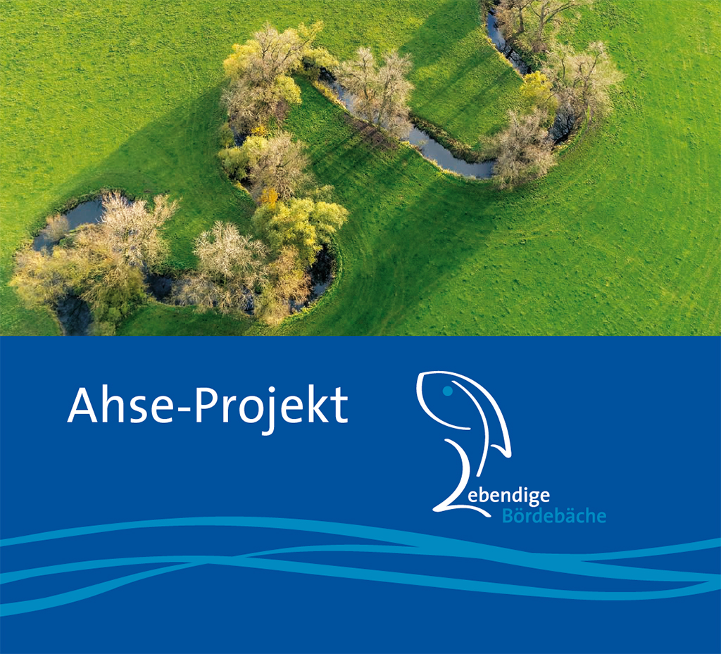 Titelbild der Broschüre zum Ahse-Projekt „Lebendige Bördebäche“