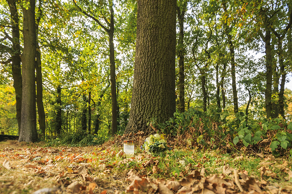 Bestattungshain auf dem Kommunalfriedhof an der Birkenallee