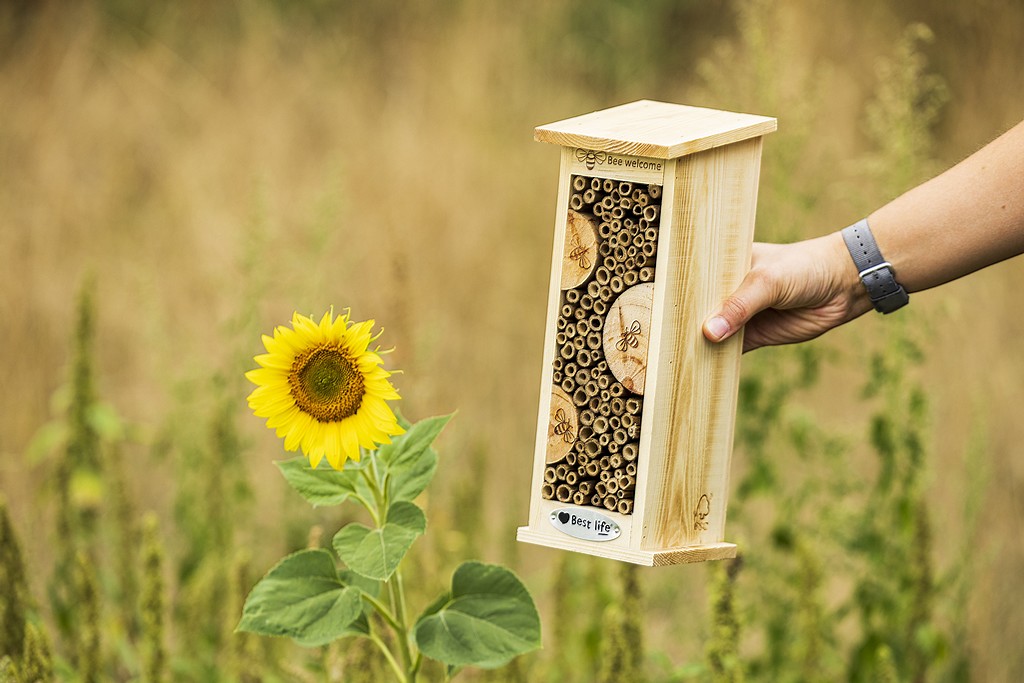 Das Foto zeigt ein Holzhäschen als Wildbienenhilfe