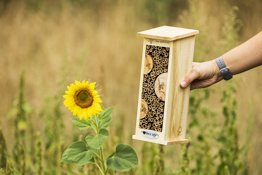 Eine Wildbienenhilfe vor einem Blühstreifen in der Kornmersch