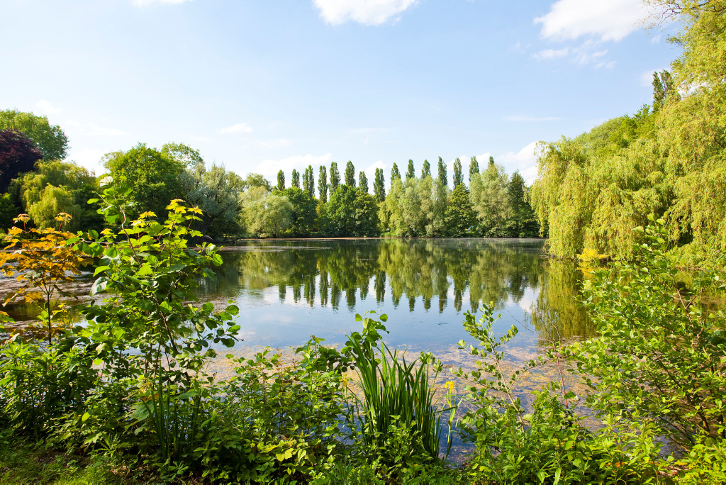 Der See im Ebertpark Der See im Ebertpark