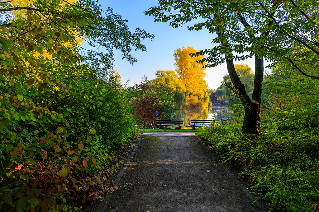 Selbachpark im Herbst