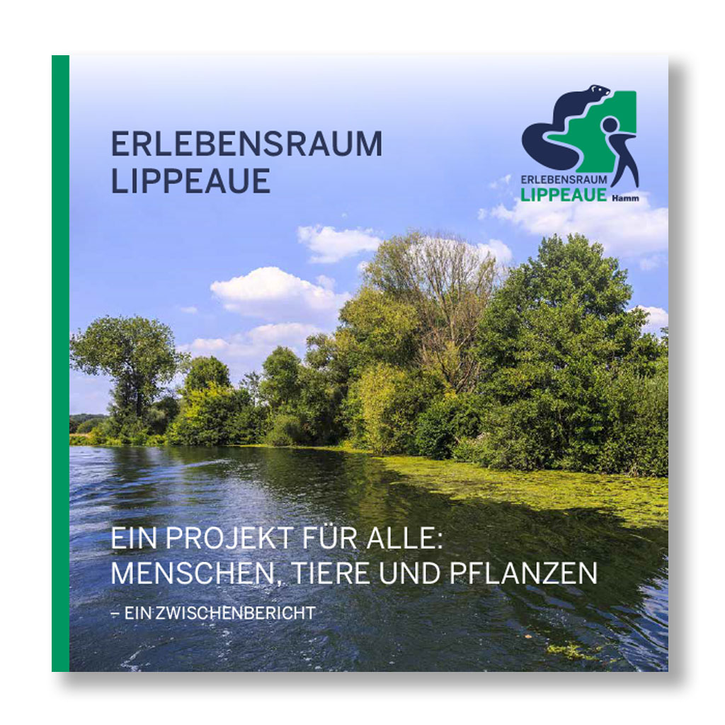 Das Bild zeigt das Titelbild des Zwischenberichts zum Projekt "Erlebensraum Lippeaue"