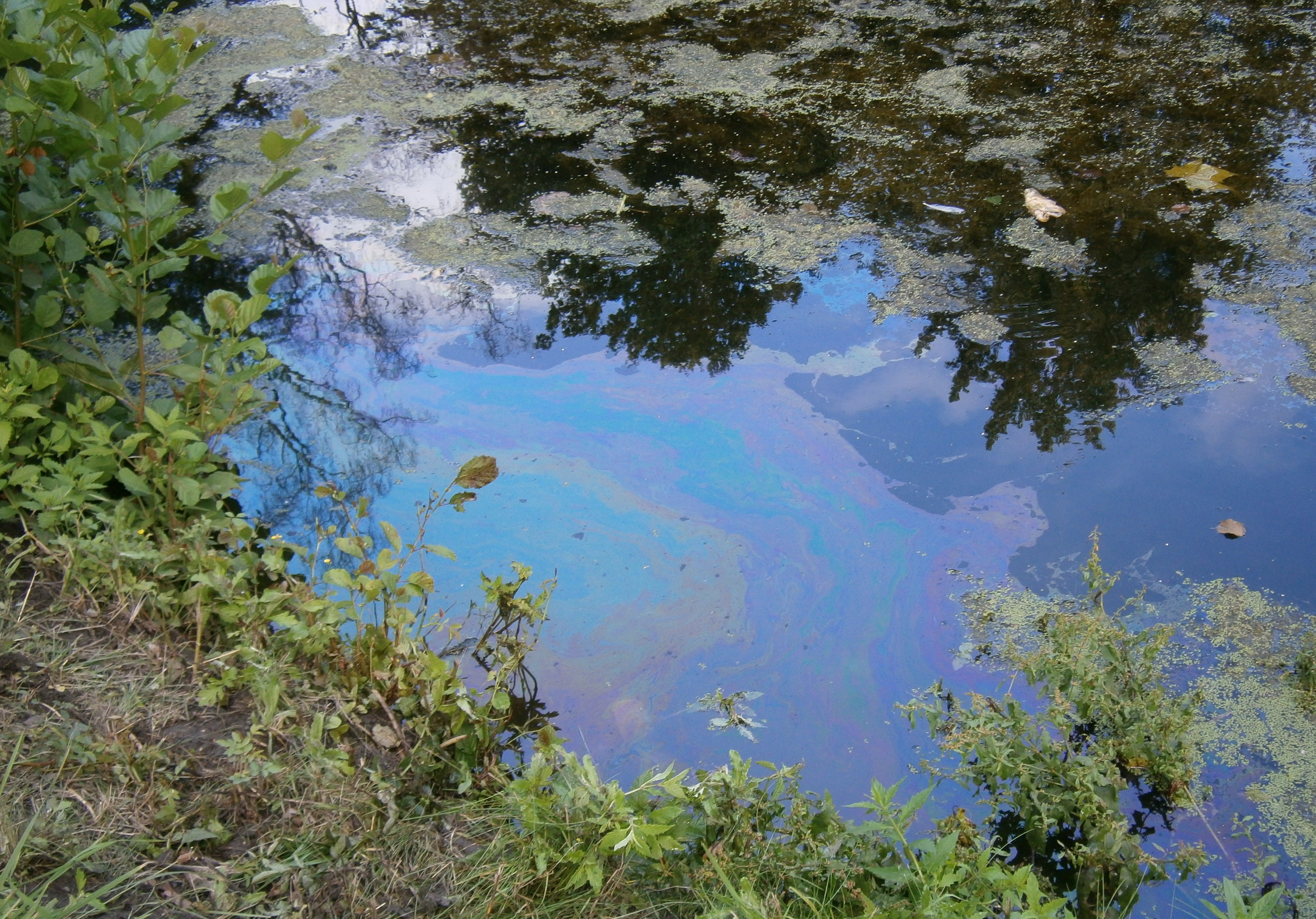 Das Bild zeigt Ölschlieren auf einem Gewässer