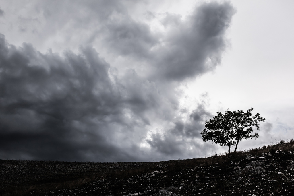 Silhouette eines einsamen Baums über einem stürmischen und düsteren Himmel (schwarz-weiß Aufnahme)