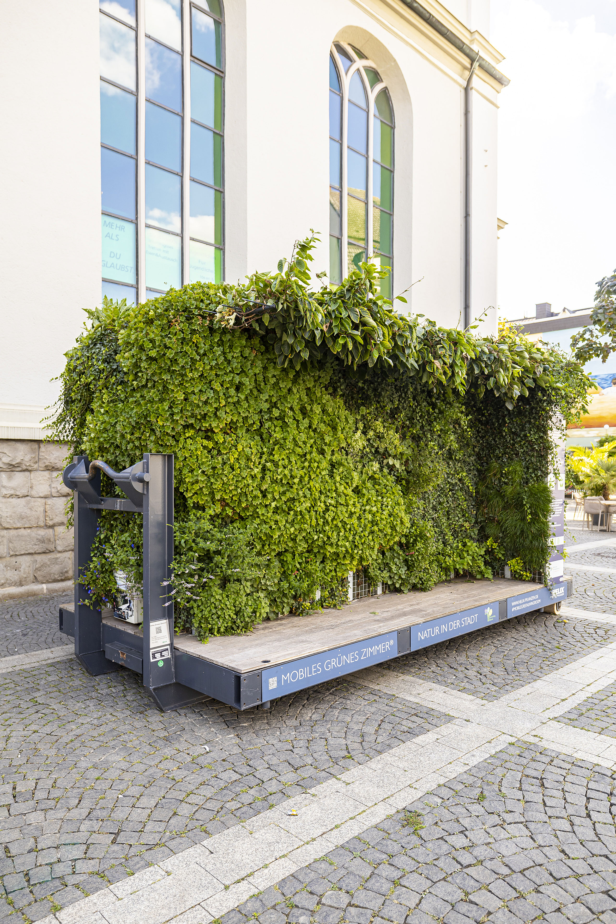 Das Foto zeigt das mobile Grüne Zimmer, eine Bank und eine Wand, die dicht mit grünen Pflanzen bewachsen ist.