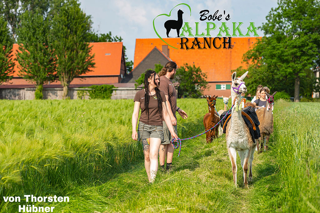 Bobes Alpaka Ranch Bobe's Alpaka Ranch