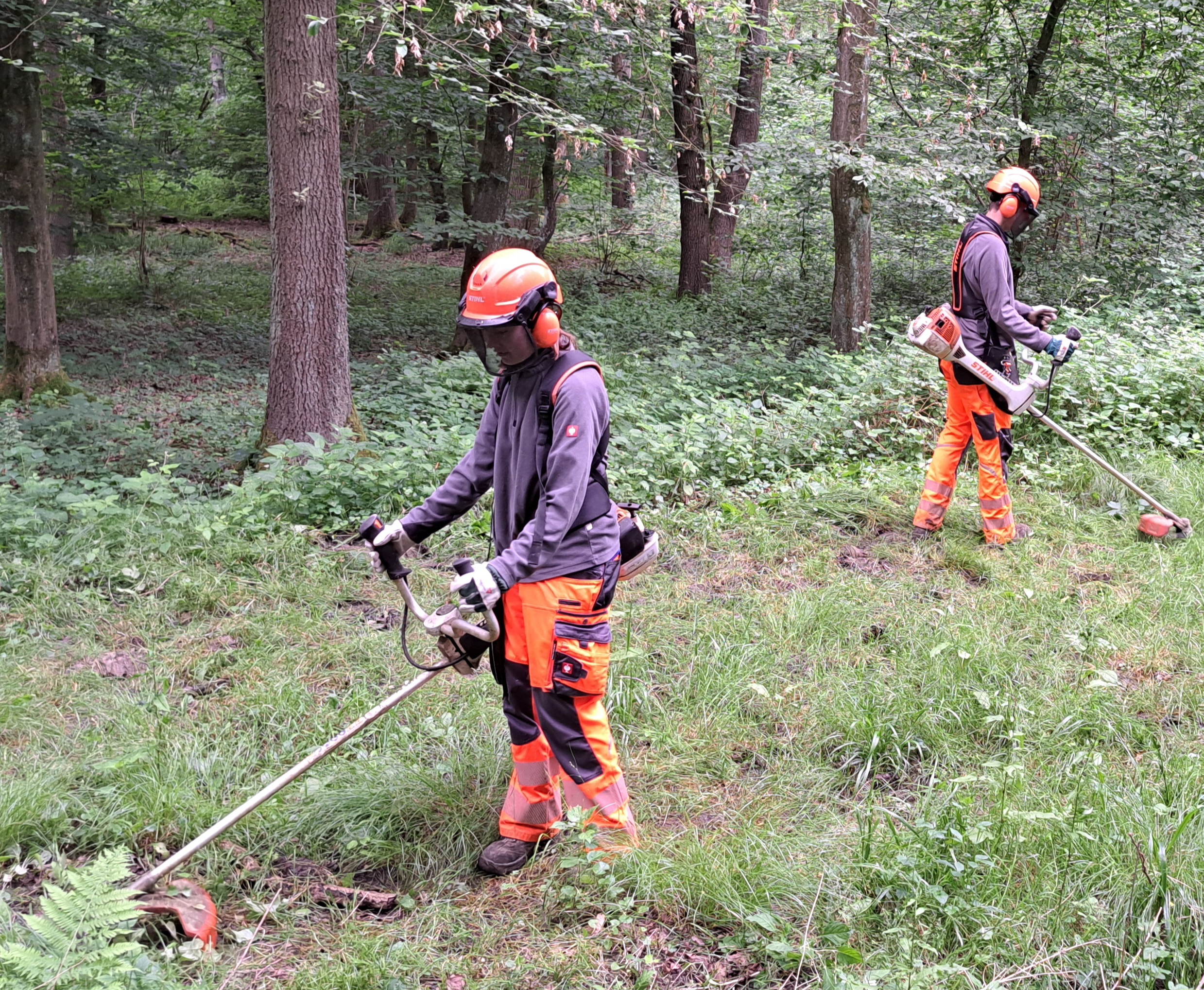 Das Foto zeigt die Bufdis bei der Arbeit.